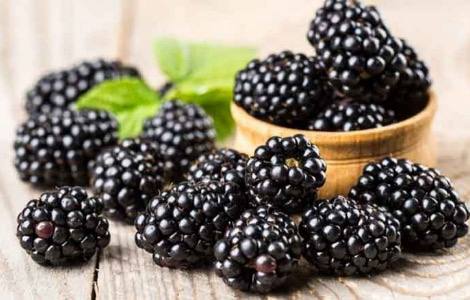 Dlaczego jagody są zdrowsze od owoców